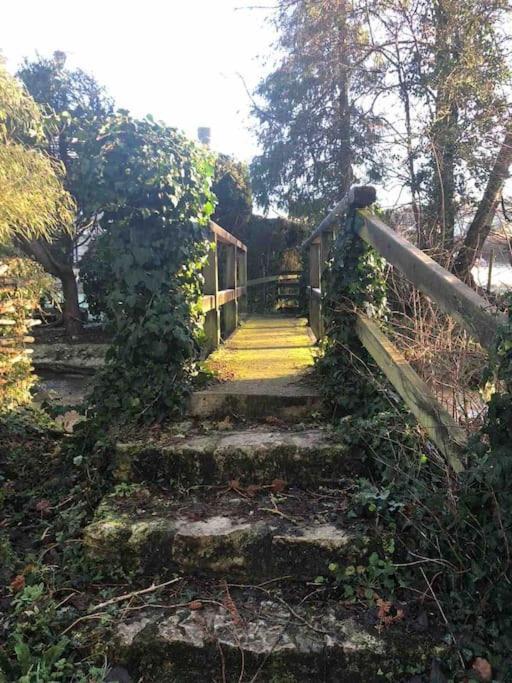 Eco-Friendly Dorset Cottage With Spa Set In Heart Of Countryside Sydling St Nicholas ภายนอก รูปภาพ