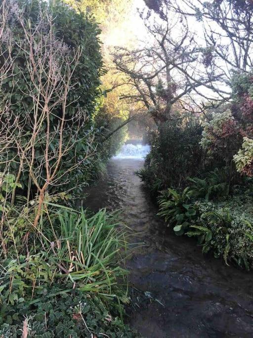 Eco-Friendly Dorset Cottage With Spa Set In Heart Of Countryside Sydling St Nicholas ภายนอก รูปภาพ
