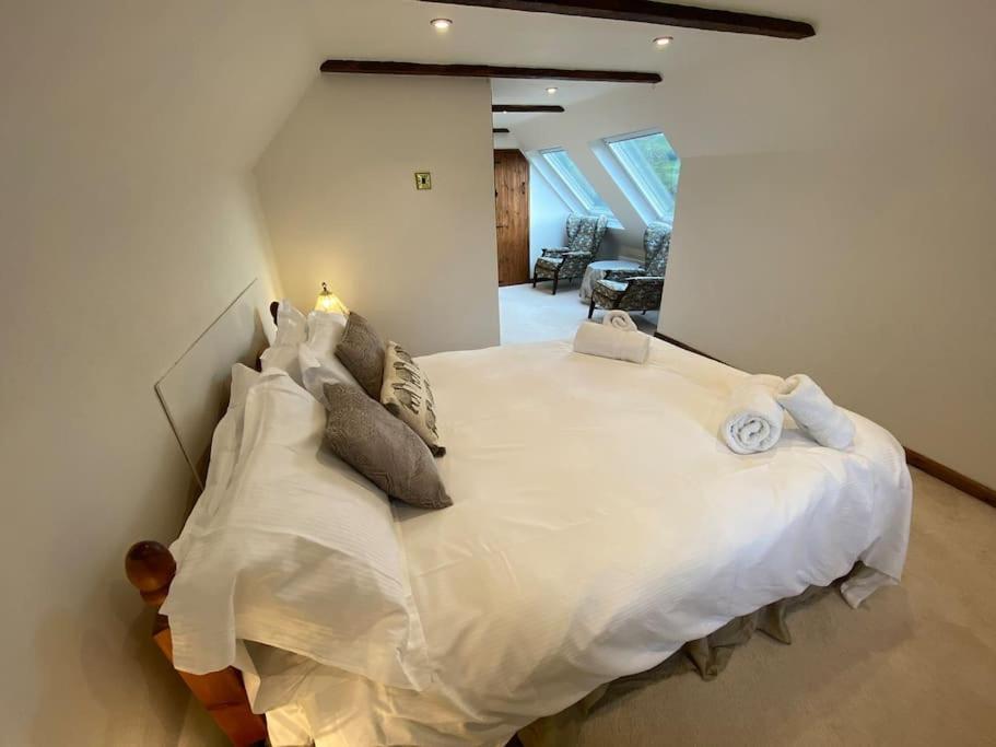 Eco-Friendly Dorset Cottage With Spa Set In Heart Of Countryside Sydling St Nicholas ภายนอก รูปภาพ